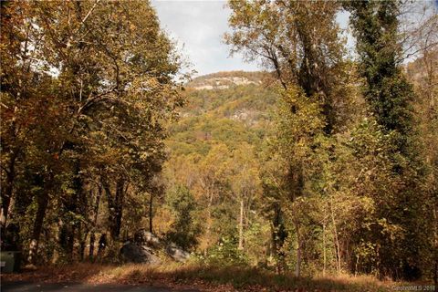 0 Mintwood Court 10 sold home in Lurewoods, Lake Lure, NC