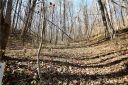 10 Tranquility Trail sold home in Maggie Valley, SC