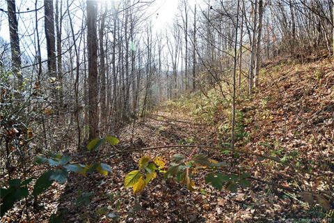 11 Lot Davy Crockett Drive #11