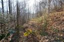 11 Lot Davy Crockett Drive #11 sold home in Maggie Valley, SC