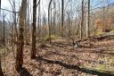 19 Lot Tranquility Trail #19 sold home in Maggie Valley, SC