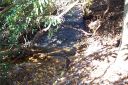 43 Lobdell Road Lot 43 sold home in Pisgah Forest, SC