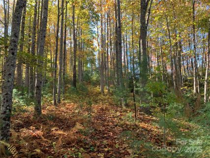 Lot 556 Timber Rock Drive active home in Timber Rock, Lenoir, NC