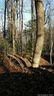 Lot 12 Tanglewood Lane sold home in Saluda, SC