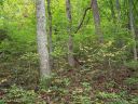 000 Whispering Woods Path 95 sold home in Mars Hill, SC