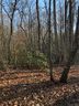 Lot 10 Mallard Drive sold home in Columbus, SC