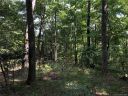 Lt 43 Holmstead Drive sold home in Lake Lure, SC