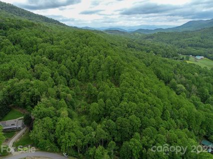 00 Red Bank Road sold home in Butler Hills, Waynesville, NC
