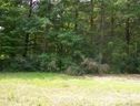 V L Fitipaldi Drive 85 sold home in Morganton, SC