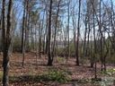 V L 64 Bear Cliff sold home in Nebo, SC