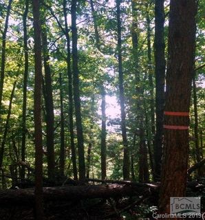 8411 Debbie Dr sold home in Pine Mountain, Connelly Springs, NC
