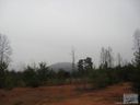 2807 Mountain Scene Drive sold home in Nebo, SC