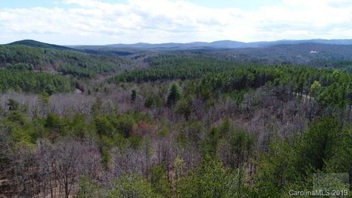 3683 Big Creek Road 21