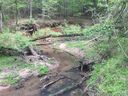 104 Mill Creek Ct 77 sold home in Morganton, SC
