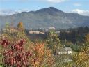 Lot No 20 Frank Davis Road sold home in Waynesville, SC