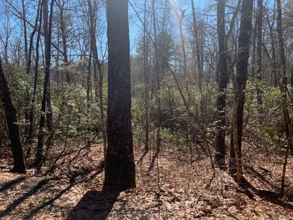 Lot J31 Galax Lane