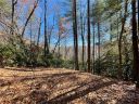 128 Twisted Tree Lane sold home in Brevard, SC