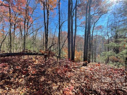 116 Green Hollow Lane