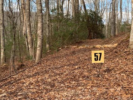 57 Big Branch Road