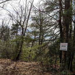 000 Dogwood Drive