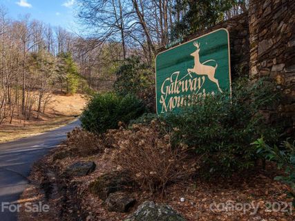Lots 962 963 Bat Cave Road