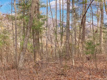 Lot 20 Bobcat Trail sold home in Midway Crossing, Clyde, NC