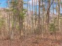 Lot 20 Bobcat Trail sold home in Clyde, SC