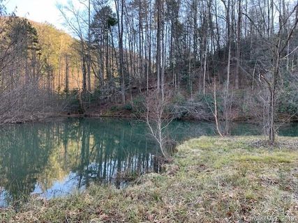 0000 Trillium Lane sold home in Three Creeks, Lake Lure, NC