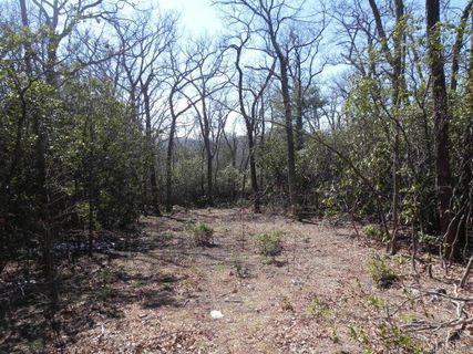 126 Dj Drive 327 sold home in Butler Mountain Highlands, Fairview, NC