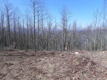 9999 Ebby Ridge Drive 335 sold home in Butler Mountain Highlands, Fairview, NC
