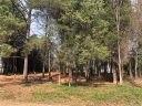 00 Southwood Loop 37 sold home in Mooresville, SC