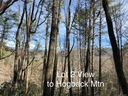 Tbd Sapphire Post Office Road 2 sold home in Sapphire, SC