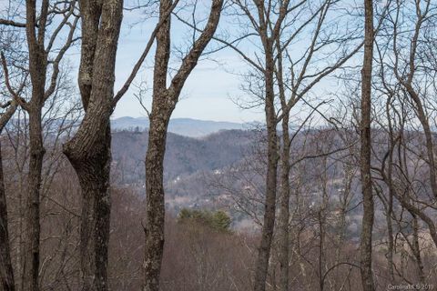 55 Mt Meadows Boulevard 27 sold home in Wildcat Cliffs, Asheville, NC