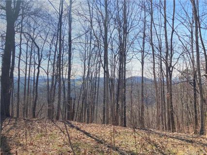 467 Overlook Park Drive 77