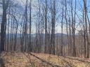 467 Overlook Park Drive 77 sold home in Hendersonville, SC