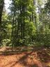 1396 Ron Whicker Drive sold home in Catawba, SC