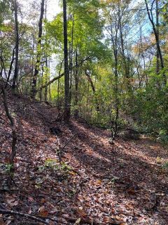 Lot 49 Boulder Run