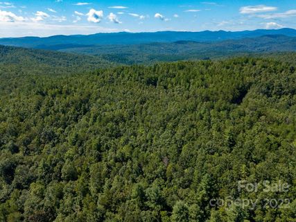 4027 Skyline Drive sold home in High Peak Mountain, Morganton, NC