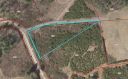 48 Nader Avenue 9 sold home in Weaverville, SC
