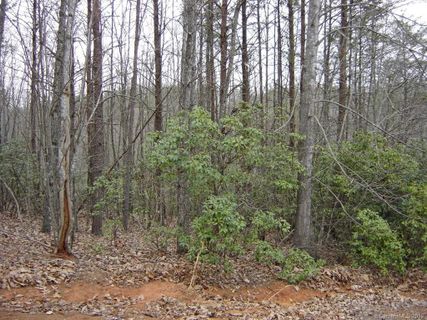 24 Grouse Ridge Drive