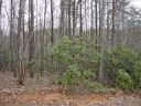 24 Grouse Ridge Drive sold home in Bostic, SC