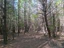1412 Old Dry Creek Road 28 sold home in Morganton, SC