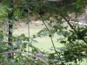 Lot 15 S Fairway Drive 15,16 sold home in Nebo, SC