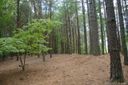 1111 Whispering Woods Road 32 sold home in Morganton, SC