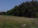 0 Old Hwy 221 S sold home in Marion, SC