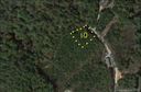 Lot 10 Gray Fox sold home in Marion, SC