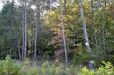 Vl 4 James View Road sold home in Marion, SC
