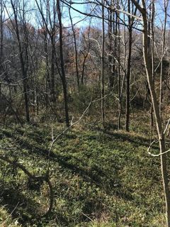 300 Randolph Road none sold home in Glenwood, Marion, NC