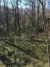 300 Randolph Road none sold home in Marion, SC