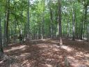 Lot 40 Everett Drive sold home in Nebo, SC